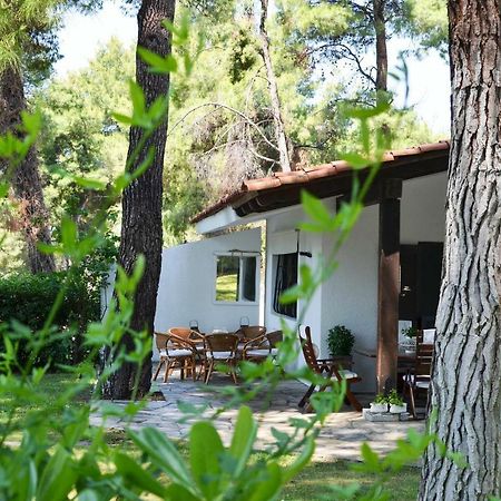 Villa Irini In Sani Sani  Zewnętrze zdjęcie