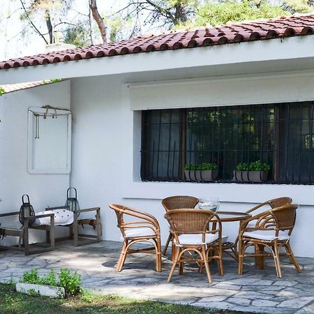 Villa Irini In Sani Sani  Zewnętrze zdjęcie