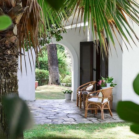 Villa Irini In Sani Sani  Zewnętrze zdjęcie