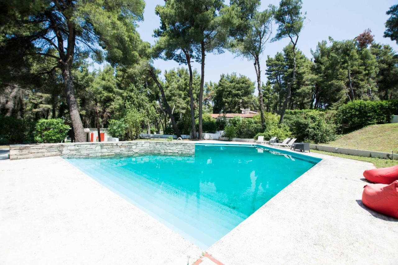 Villa Irini In Sani Sani  Zewnętrze zdjęcie