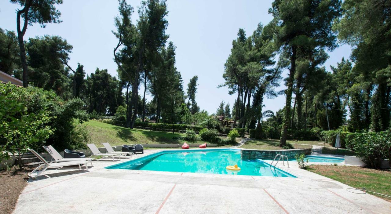 Villa Irini In Sani Sani  Zewnętrze zdjęcie