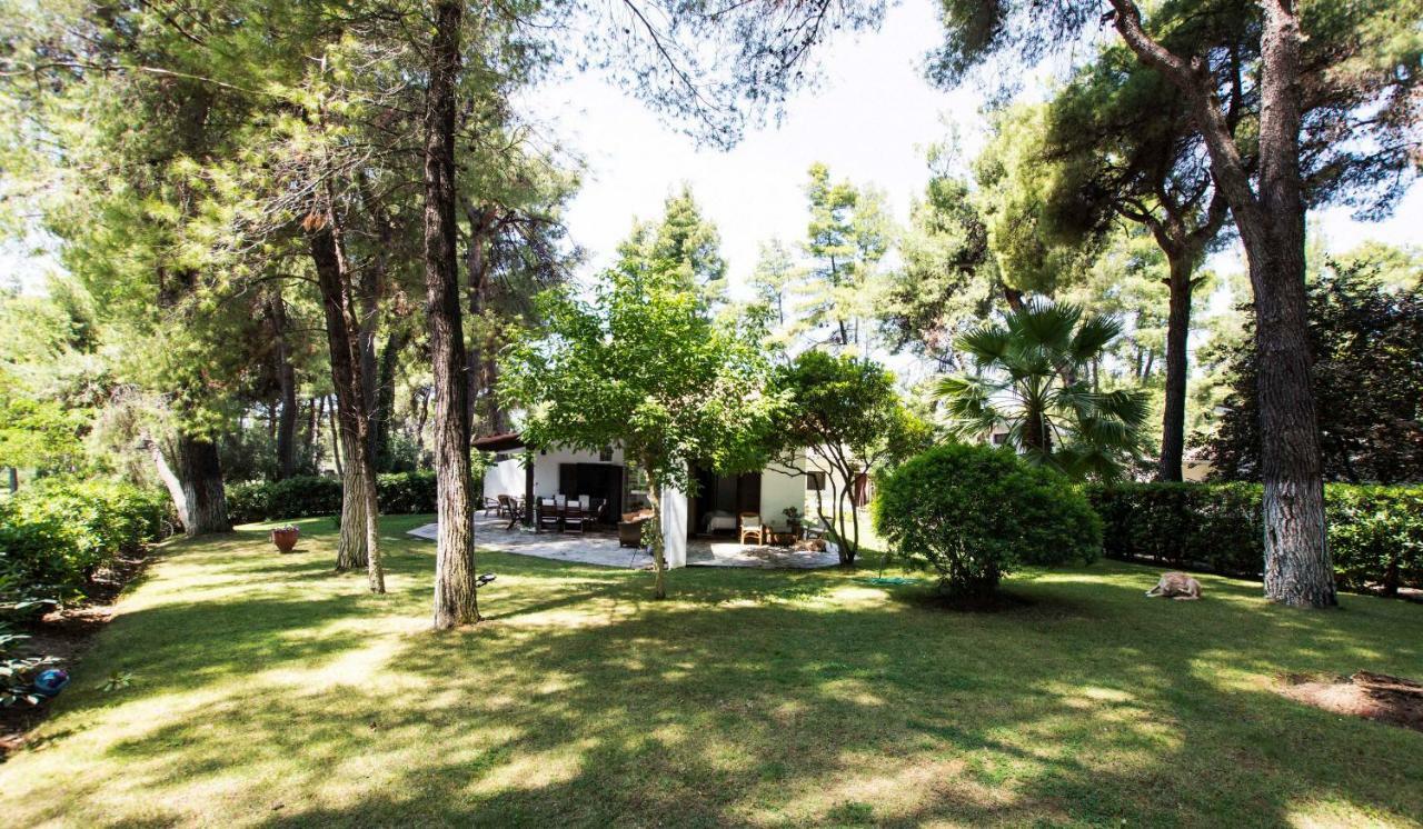 Villa Irini In Sani Sani  Zewnętrze zdjęcie