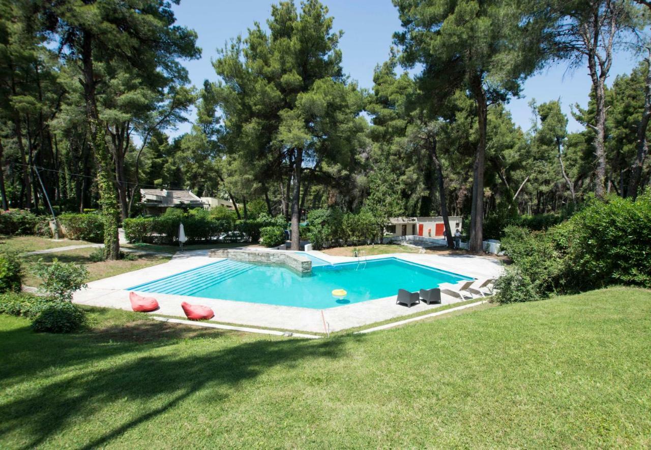 Villa Irini In Sani Sani  Zewnętrze zdjęcie
