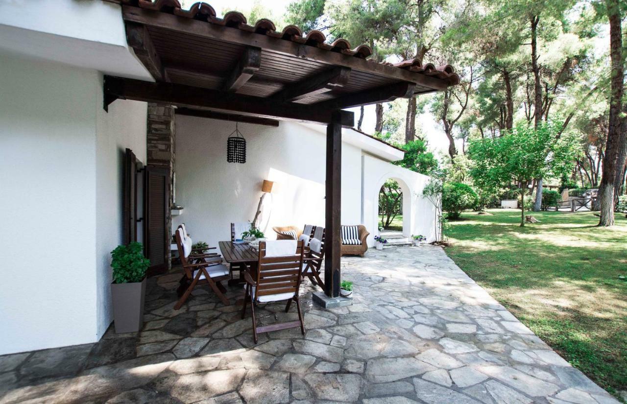 Villa Irini In Sani Sani  Zewnętrze zdjęcie