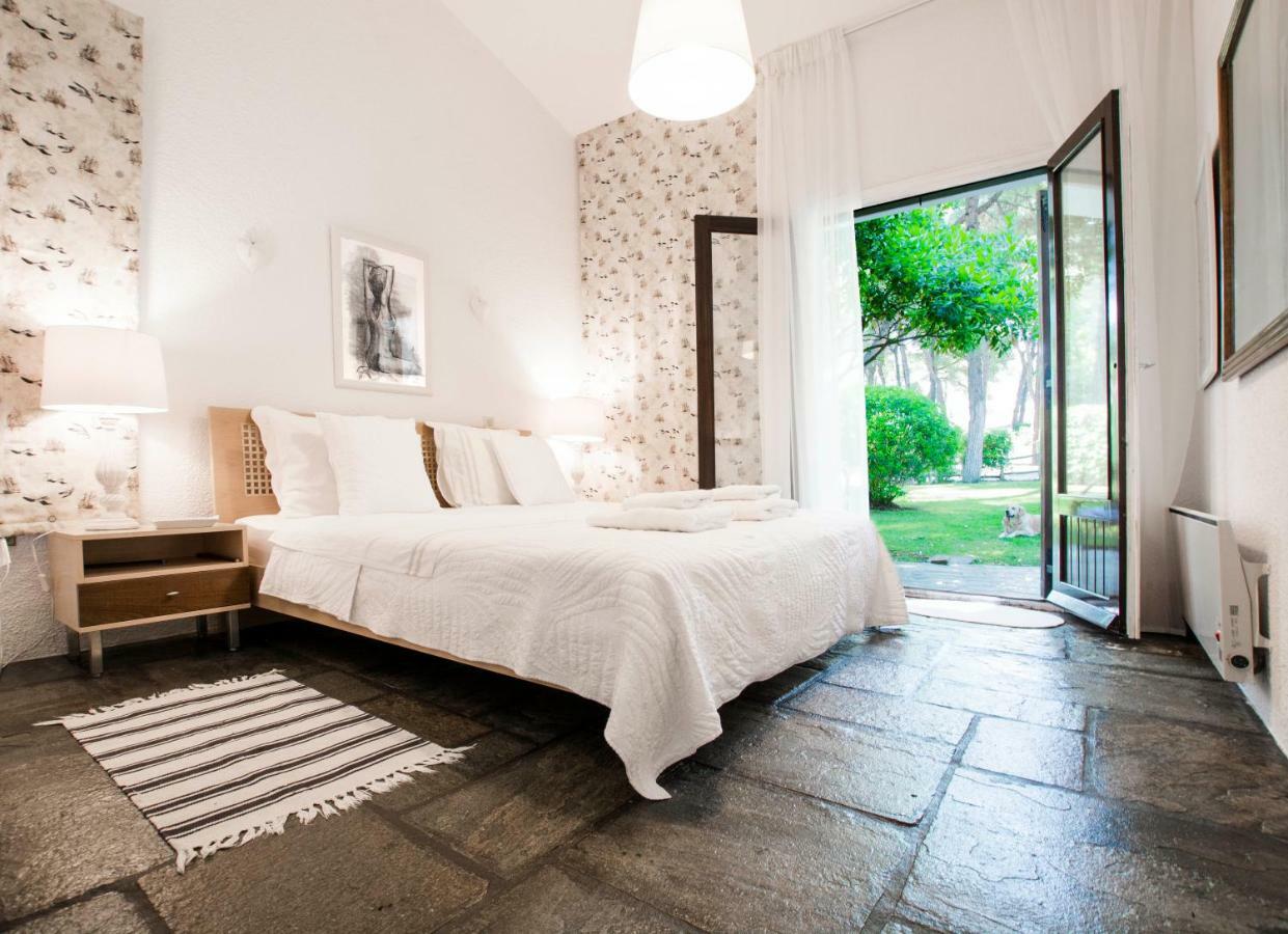 Villa Irini In Sani Sani  Zewnętrze zdjęcie