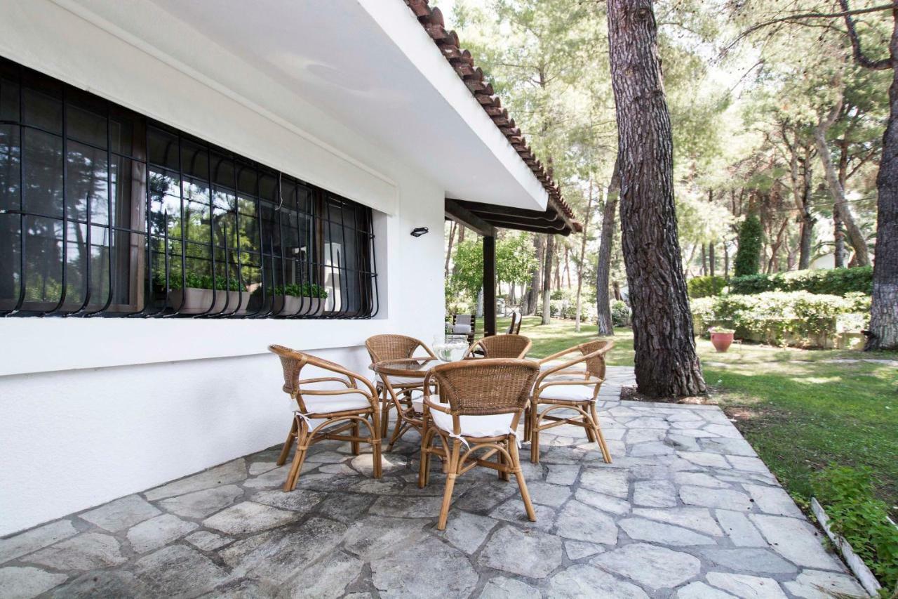 Villa Irini In Sani Sani  Zewnętrze zdjęcie