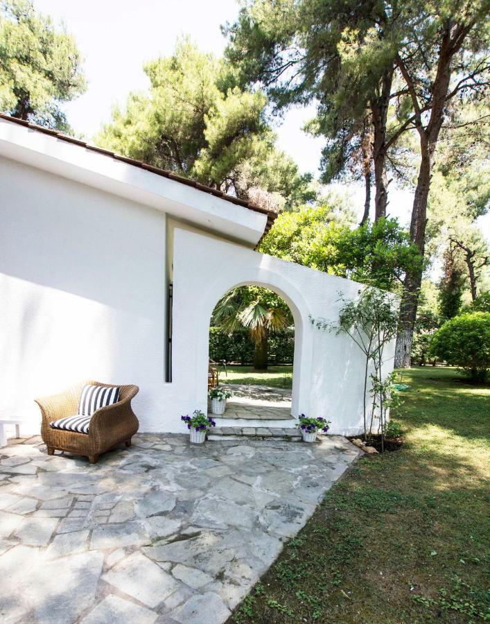 Villa Irini In Sani Sani  Zewnętrze zdjęcie