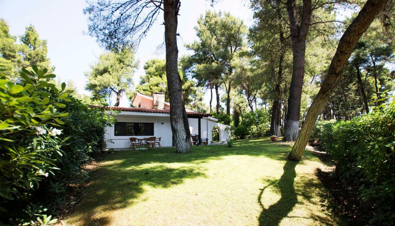 Villa Irini In Sani Sani  Zewnętrze zdjęcie