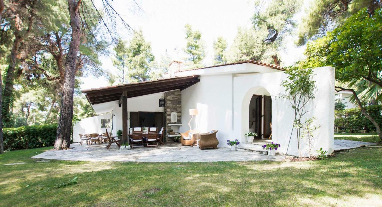 Villa Irini In Sani Sani  Zewnętrze zdjęcie