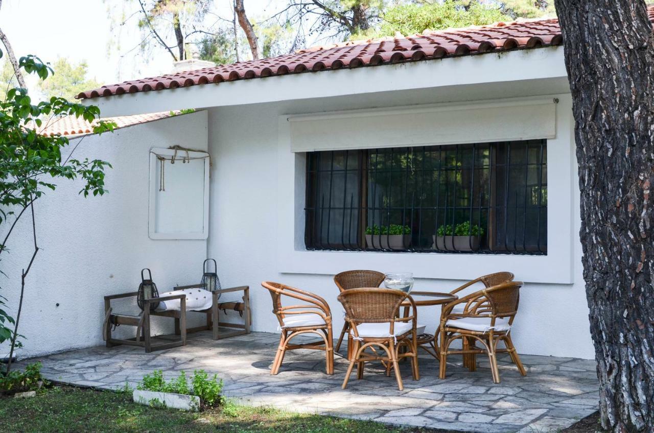 Villa Irini In Sani Sani  Zewnętrze zdjęcie