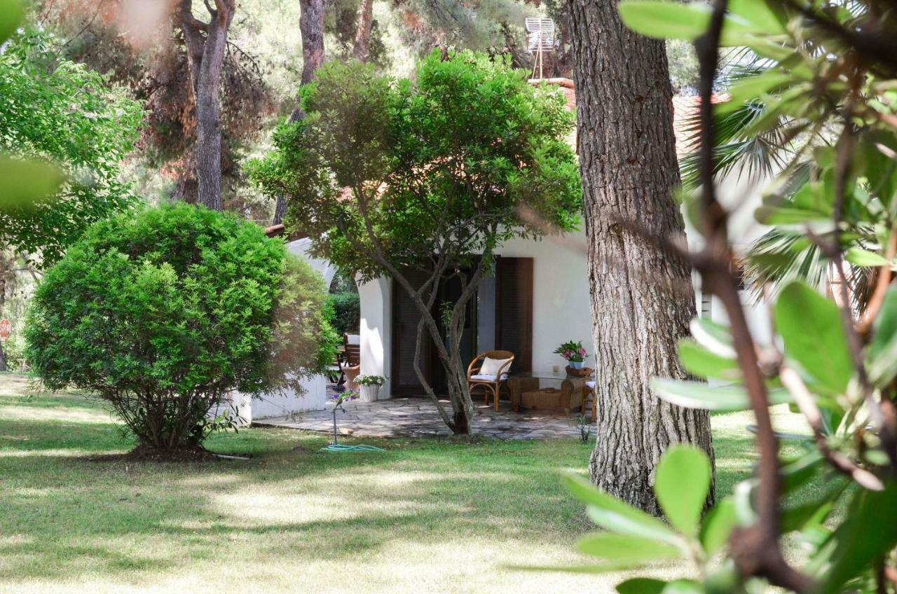 Villa Irini In Sani Sani  Zewnętrze zdjęcie